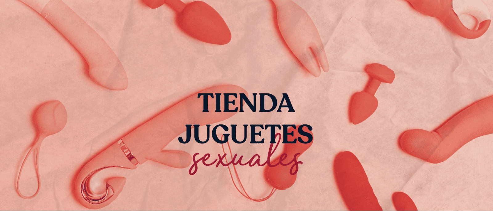 BANNER INICIO 3